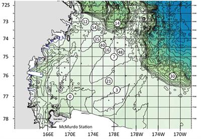 Mixotrophic Activity and Diversity of Antarctic Marine Protists in Austral Summer